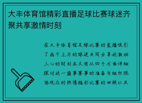 大丰体育馆精彩直播足球比赛球迷齐聚共享激情时刻